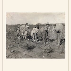 Labor Day card, 1913 — watermarked preview
