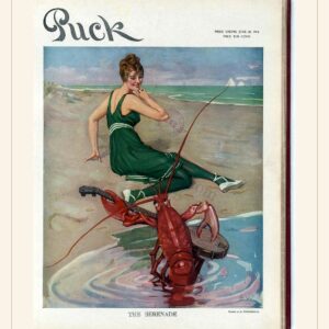 Puck cover — June 20, 1914 — watermarked preview