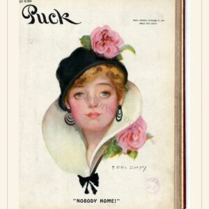 Puck cover — October 17, 1914 — watermarked preview