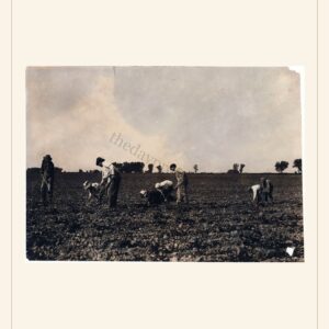 Father's Day card, 1915 — watermarked preview