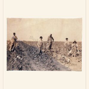 Father's Day card, 1916 — watermarked preview
