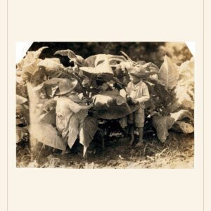 Father's Day card, 1916 — watermarked preview