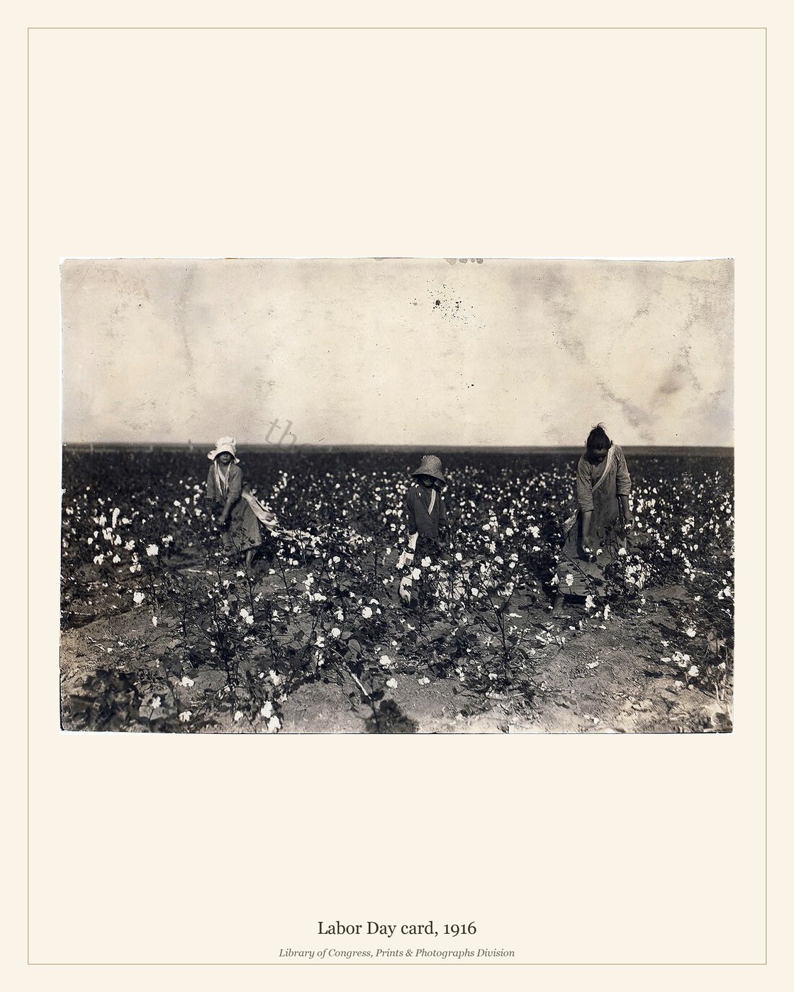 Labor Day card, 1916 — watermarked preview