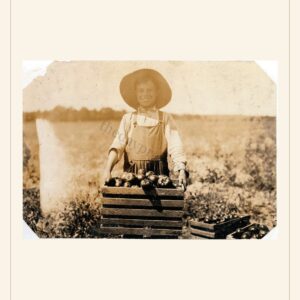 Labor Day card, 1916 — watermarked preview