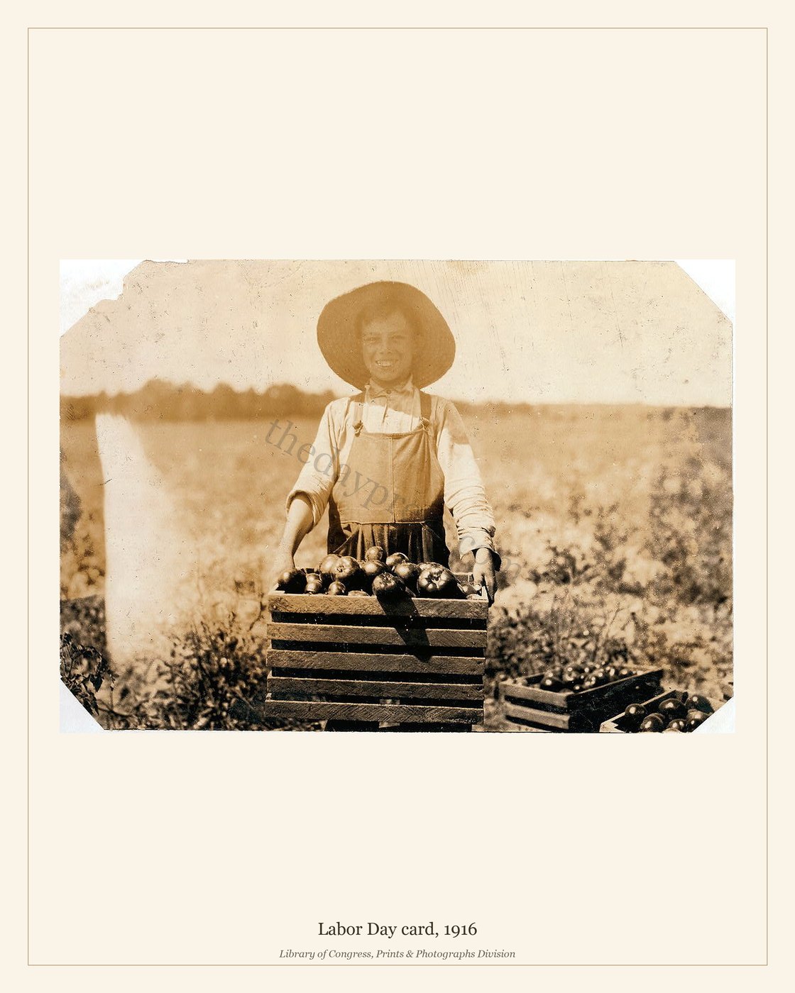 Labor Day card, 1916 — watermarked preview