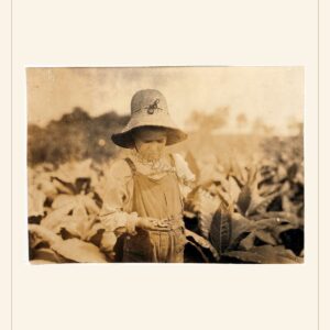 Labor Day card, 1916 — watermarked preview