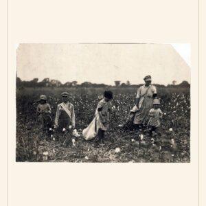 Labor Day card, 1916 — watermarked preview