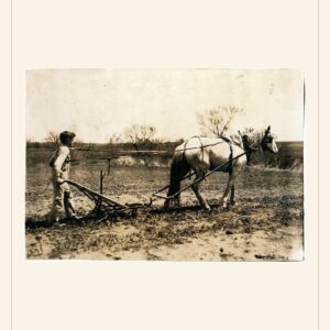 Father's Day card, 1917 — watermarked preview