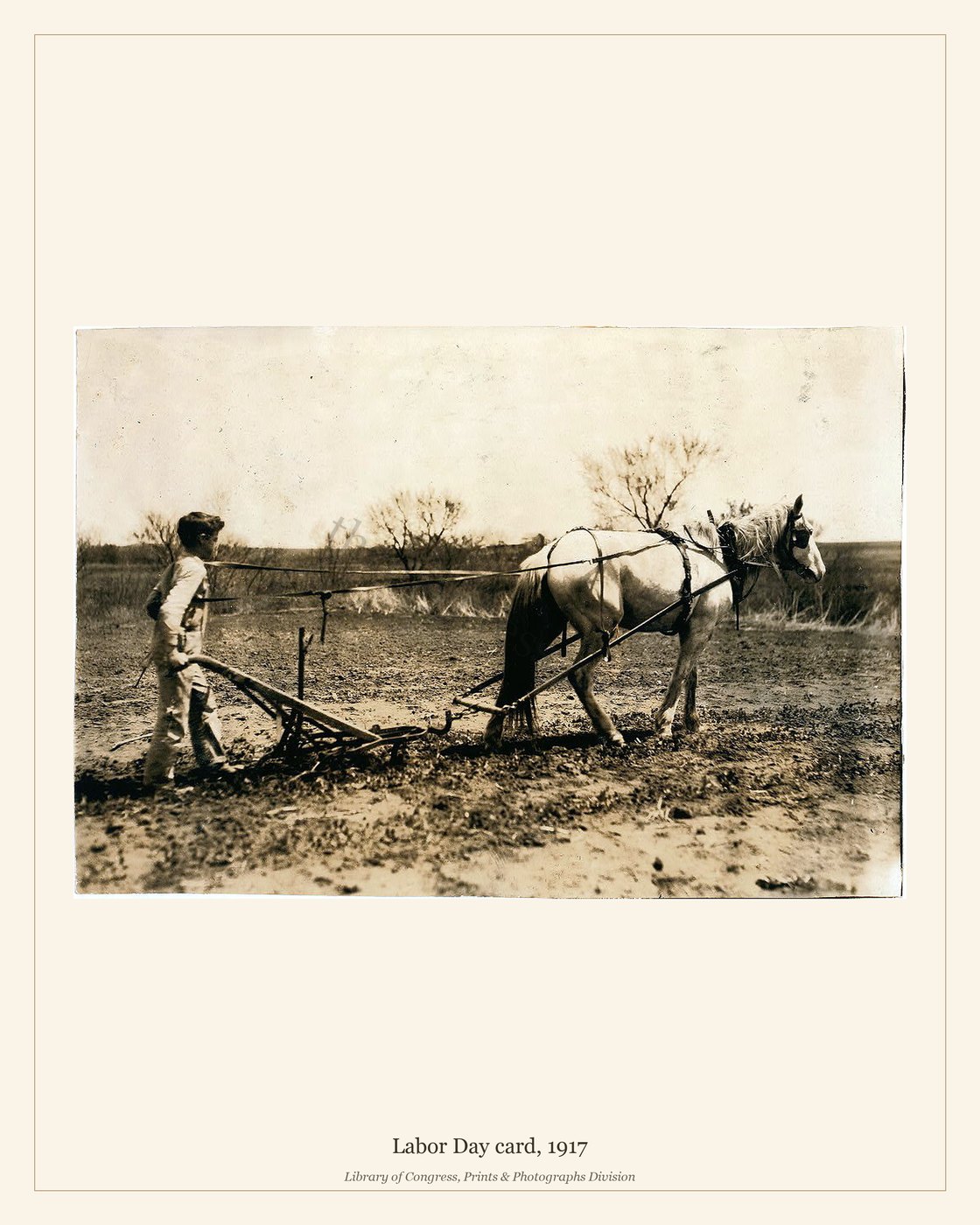 Labor Day card, 1917 — watermarked preview