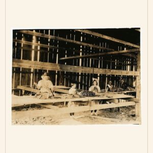 Labor Day card, 1917 — watermarked preview