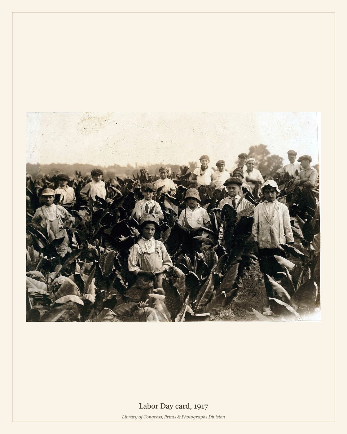 Labor Day card, 1917 — watermarked preview