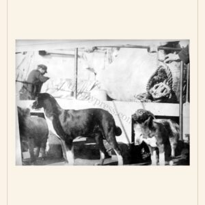 New Year card, 1920 — watermarked preview