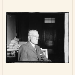 Election Day card, 1920 — watermarked preview