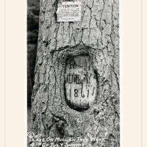 Fourth of July print, 1927 — watermarked preview